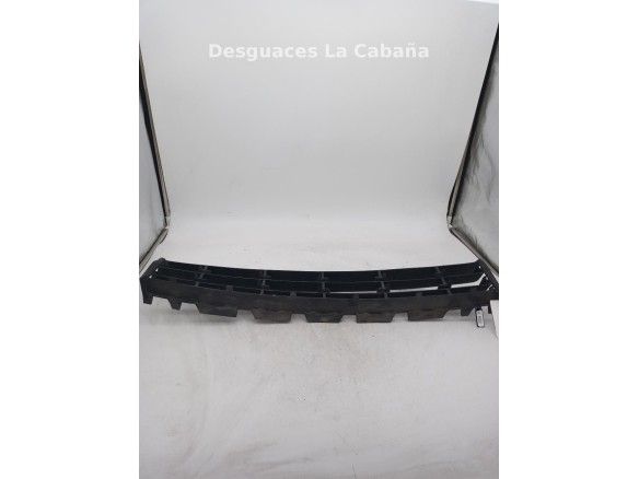 REJILLA PARAGOLPES DEL CENTRAL RENAULT MEGANE II (BM0/1_, CM0/1_) |Desguaces La Cabaña