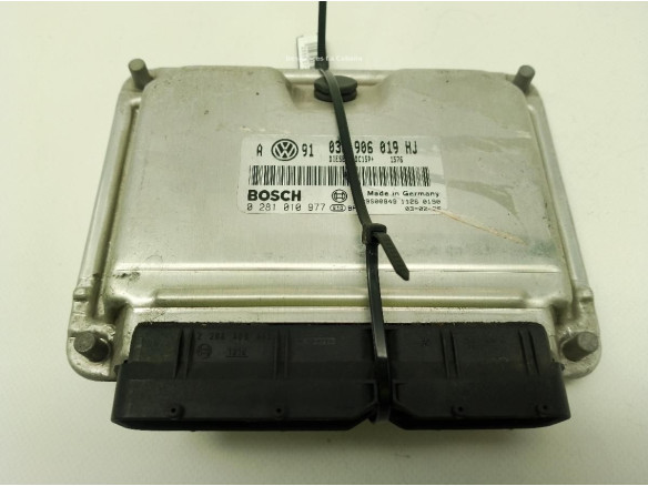 038906019HJ,0281010977, CENTRALITA MOTOR VOLKSWAGEN SinValor|Desguaces La Cabaña