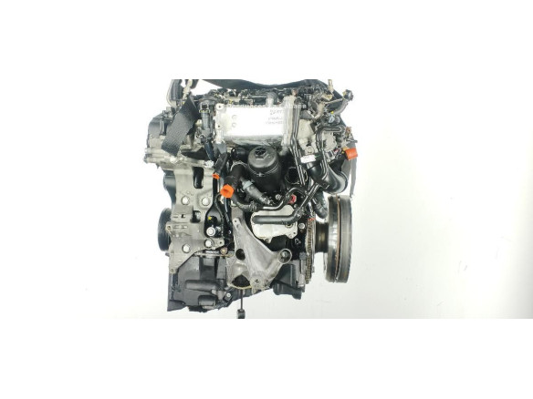 DETA MOTOR AUDI A4 (8W2, B9)|Desguaces La Cabaña