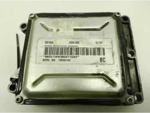 12202143BC,09391283, CENTRALITA MOTOR OPEL SinValor|Desguaces La Cabaña