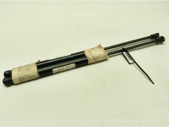 AMORTIGUADOR PORTON / TAPA MALETA RENAULT TWINGO II (CN0_)|Desguaces La Cabaña