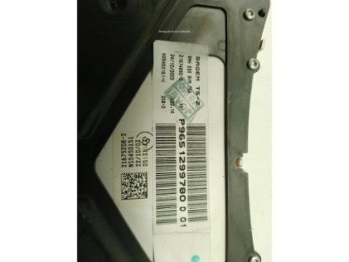 P9651299780D, CUADRO INSTRUMENTOS RENAULT 19 I (B/C53_)|Desguaces La Cabaña