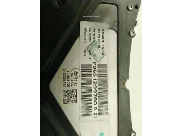 P9651299780D, CUADRO INSTRUMENTOS RENAULT 19 I (B/C53_)|Desguaces La Cabaña