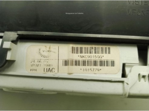 24810EB205, CUADRO INSTRUMENTOS NISSAN PATHFINDER III (R51)|Desguaces La Cabaña
