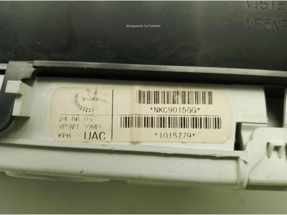 24810EB205, CUADRO INSTRUMENTOS NISSAN PATHFINDER III (R51)|Desguaces La Cabaña