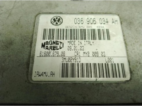 036906034AH,IAW4MVAH, CENTRALITA MOTOR VOLKSWAGEN SinValor|Desguaces La Cabaña