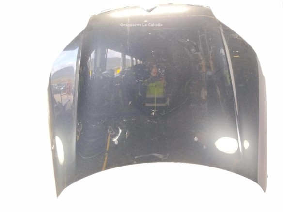 7901P3 CAPO CITROEN C5 III (RD_)|Desguaces La Cabaña