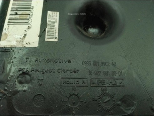  169229818001 DEPOSITO ADBLUE PEUGEOT EXPERT Tepee (VF3V_)|Desguaces La Cabaña