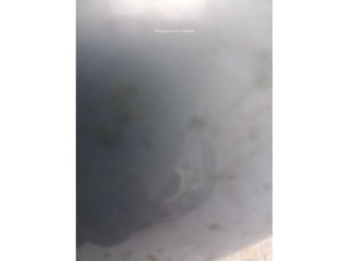 51348159834 ELEVALUNAS PUERTA LAT TRA DER BMW 5 (E39)|Desguaces La Cabaña