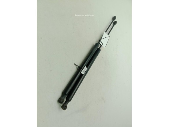 904528093R AMORTIGUADOR PORTON / TAPA MALETA DACIA LODGY|Desguaces La Cabaña