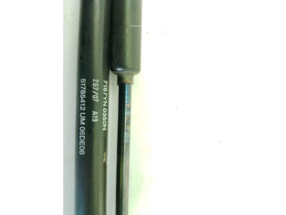 0000051785412, 7167YN0350N AMORTIGUADOR PORTON / TAPA MALETA FIAT 500 (312_)|Desguaces La Cabaña