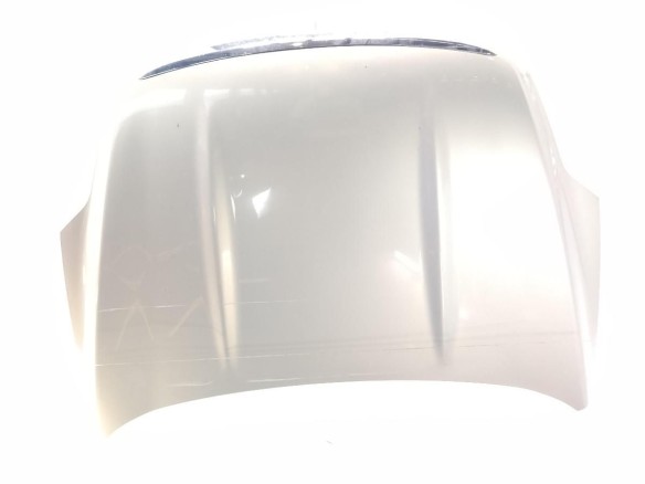 1718513 CAPO FORD KUGA I|Desguaces La Cabaña