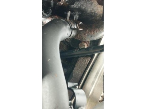 ASV MOTOR AUDI A3 (8L1)|Desguaces La Cabaña