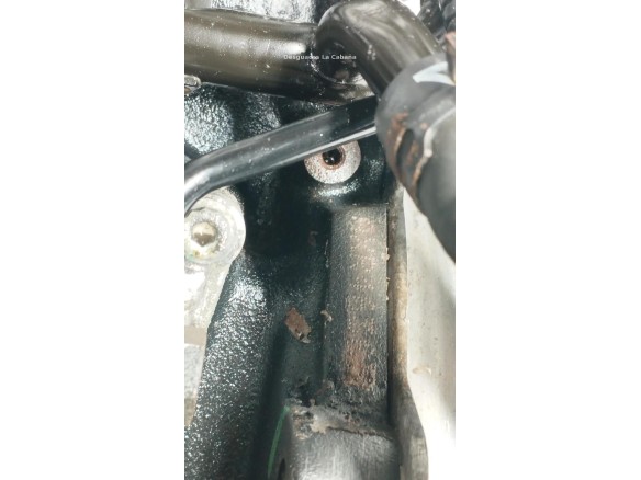 AXR MOTOR SEAT LEON (1M1)|Desguaces La Cabaña