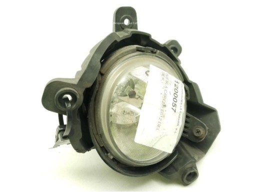 NIEBLA DELANTERO DERECHO|Desguaces La Cabaña