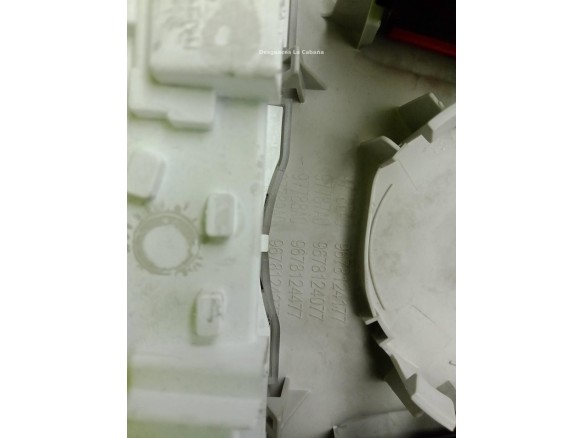   PLAFON DEL CITROEN C4 Grand Picasso II|Desguaces La Cabaña