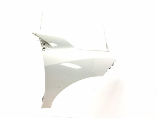 620220035R PARAGOLPES DEL RENAULT MEGANE III Fastback (BZ0_)|Desguaces La Cabaña