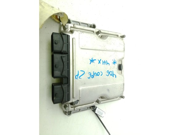 0281011446 CENTRALITA MOTOR PEUGEOT 406 (8B)|Desguaces La Cabaña