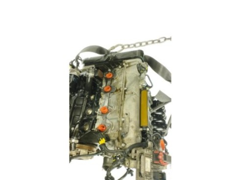 169A4000 MOTOR FIAT PUNTO (199_)|Desguaces La Cabaña