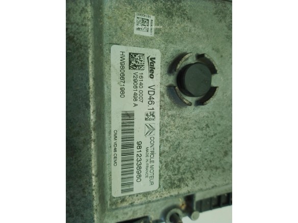 1622237280, 9812338980 CENTRALITA MOTOR CITROEN C4 Grand Picasso II|Desguaces La Cabaña