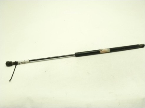 AMORTIGUADOR CAPO MERCEDES BENZ CLS (C219)|Desguaces La Cabaña