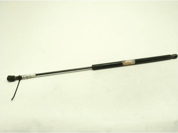 AMORTIGUADOR CAPO MERCEDES BENZ CLS (C219)|Desguaces La Cabaña