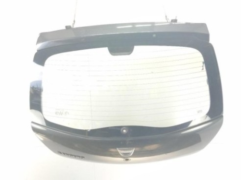 901006269R PORTON DACIA SANDERO|Desguaces La Cabaña