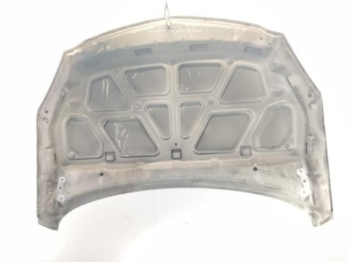 39059617 CAPO OPEL INSIGNIA A (G09)|Desguaces La Cabaña