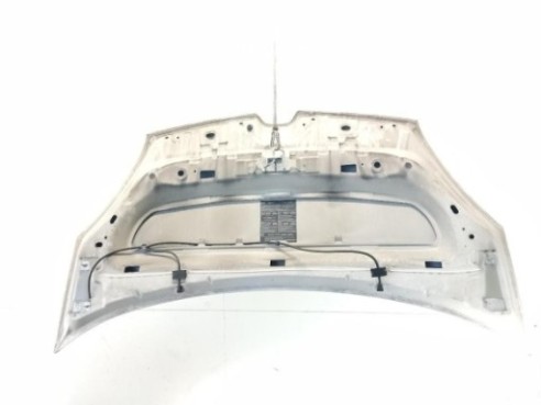 651009758R CAPO RENAULT KANGOO Express (FW0/1_)|Desguaces La Cabaña