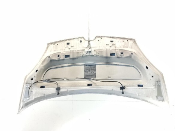 651009758R CAPO RENAULT KANGOO Express (FW0/1_)|Desguaces La Cabaña