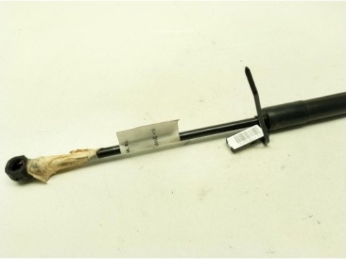 AMORTIGUADOR CAPO RENAULT MEGANE IV (B9A/M_)|Desguaces La Cabaña