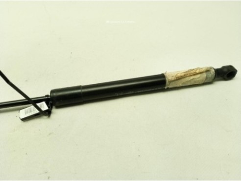 AMORTIGUADOR CAPO RENAULT MEGANE IV (B9A/M_)|Desguaces La Cabaña