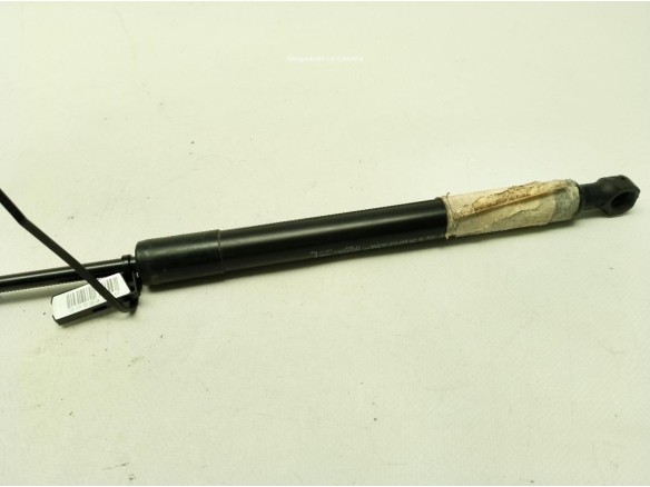 AMORTIGUADOR CAPO RENAULT MEGANE IV (B9A/M_)|Desguaces La Cabaña