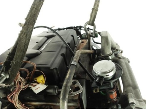 D0834LFL55 MOTOR MAN TGL|Desguaces La Cabaña