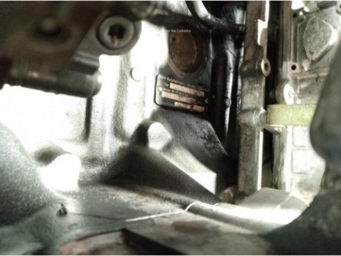 D0834LFL55 MOTOR MAN TGL|Desguaces La Cabaña