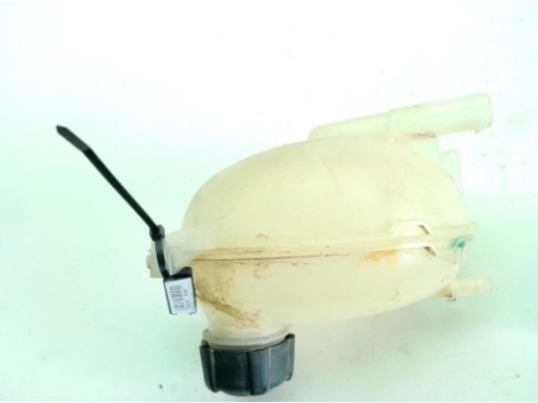 289101168R BOTE EXPANSOR DACIA DUSTER Furgón|Desguaces La Cabaña