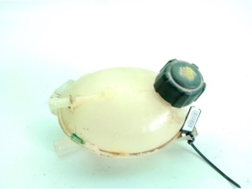 289101168R BOTE EXPANSOR DACIA DUSTER Furgón|Desguaces La Cabaña