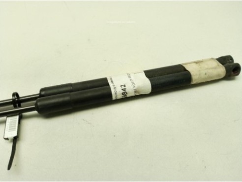 AMORTIGUADOR PORTON / TAPA MALETA FIAT SEDICI (FY_)|Desguaces La Cabaña