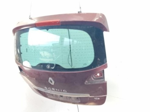 631010188R ALETA DEL IZQ RENAULT SCENIC III (JZ0/1_)|Desguaces La Cabaña 2