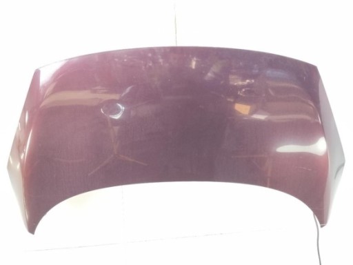 631010188R ALETA DEL IZQ RENAULT SCENIC III (JZ0/1_)|Desguaces La Cabaña