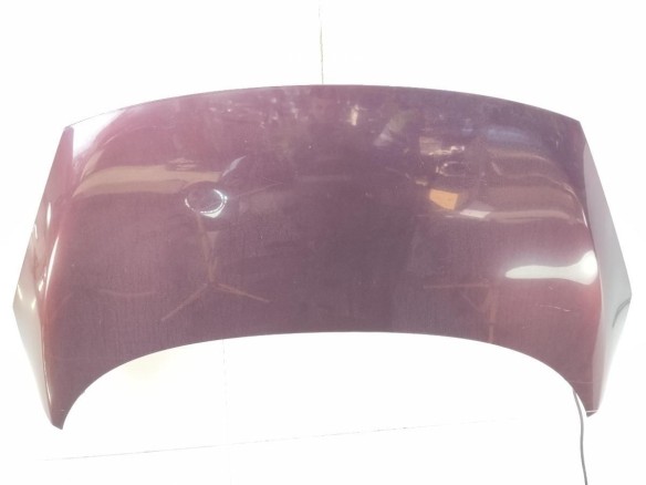 651003439R CAPO RENAULT SCENIC III (JZ0/1_)|Desguaces La Cabaña