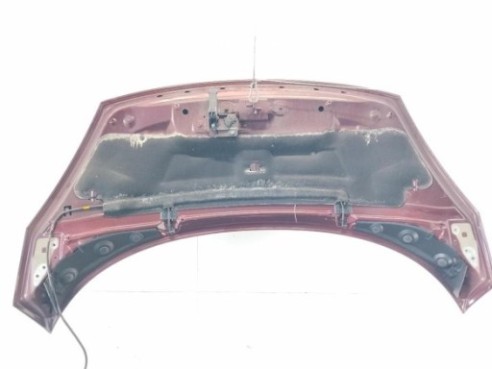 631010188R ALETA DEL IZQ RENAULT SCENIC III (JZ0/1_)|Desguaces La Cabaña 2