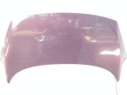 651003439R CAPO RENAULT SCENIC III (JZ0/1_)|Desguaces La Cabaña