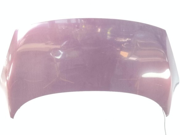 651003439R CAPO RENAULT SCENIC III (JZ0/1_)|Desguaces La Cabaña