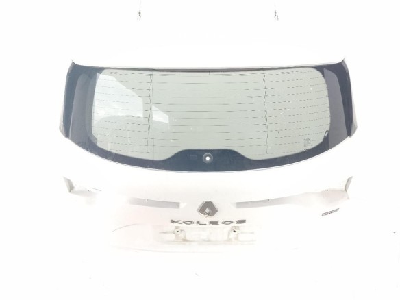 901005059R PORTON RENAULT KOLEOS II|Desguaces La Cabaña