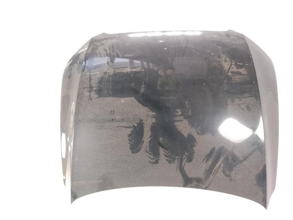 8R0823029 CAPO AUDI Q5 (8RB)|Desguaces La Cabaña