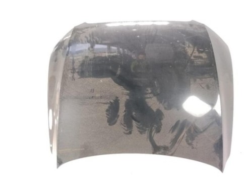 8R0823029 CAPO AUDI Q5 (8RB)|Desguaces La Cabaña