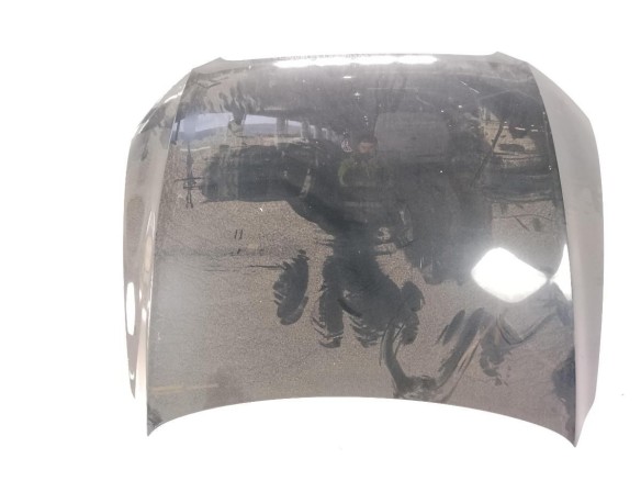 8R0823029 CAPO AUDI Q5 (8RB)|Desguaces La Cabaña