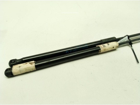 AMORTIGUADOR PORTON / TAPA MALETA CITROEN DS4|Desguaces La Cabaña