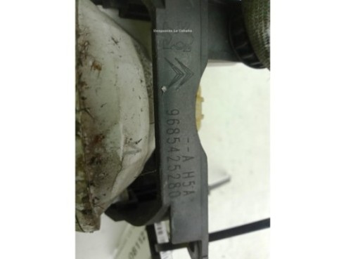 9685425280 NIEBLA DEL IZQ CITROEN C3 II|Desguaces La Cabaña